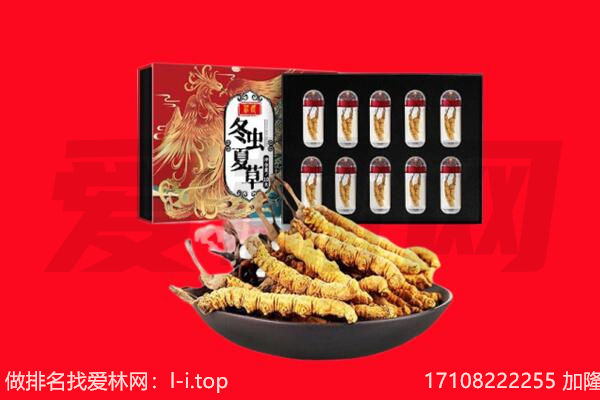 大连回收虫草.jpg